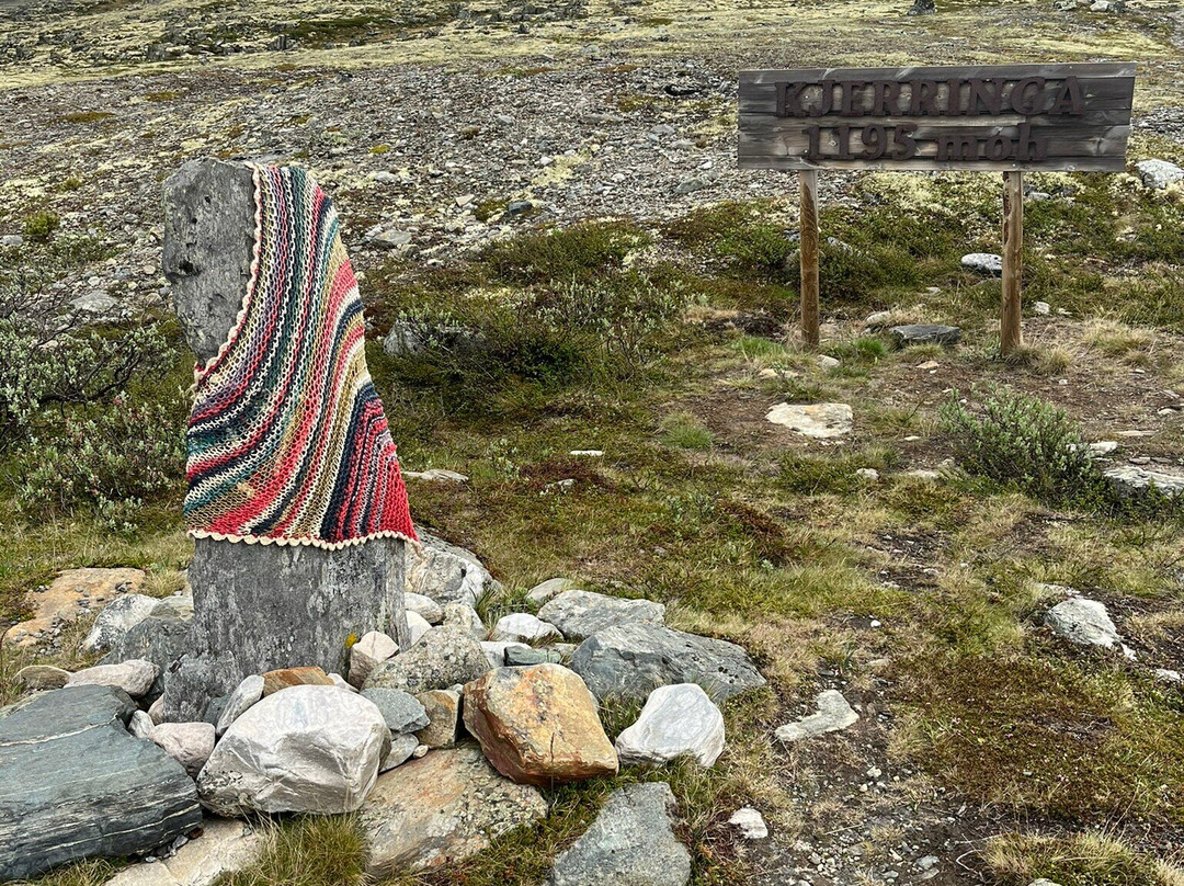 Hotel Folldal Fjellstue主图