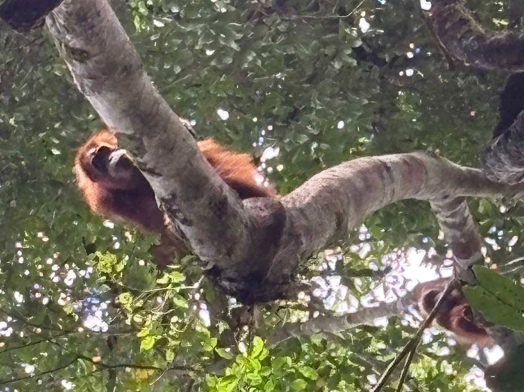 Friendship Guesthouse & Restaurant主图