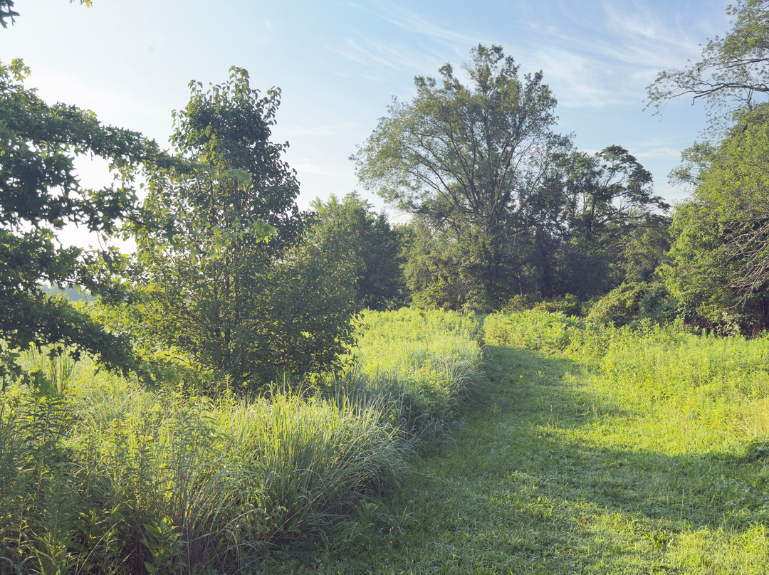 Negri-Napote Native Grassland Preserve-萨默塞特必去景点