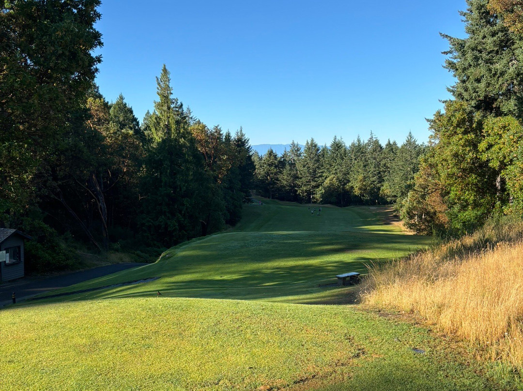Olympic View Golf Club-兰福德必去景点