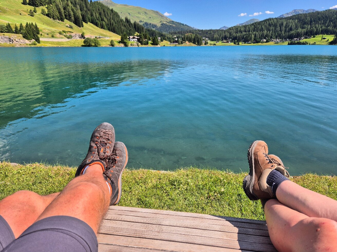 Waldhotel Davos for Body & Soul主图