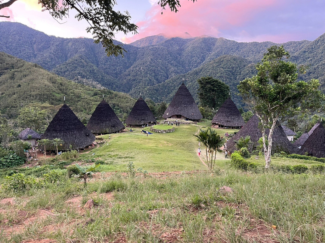 Top Komodo Tours-Labuan Bajo必去景点