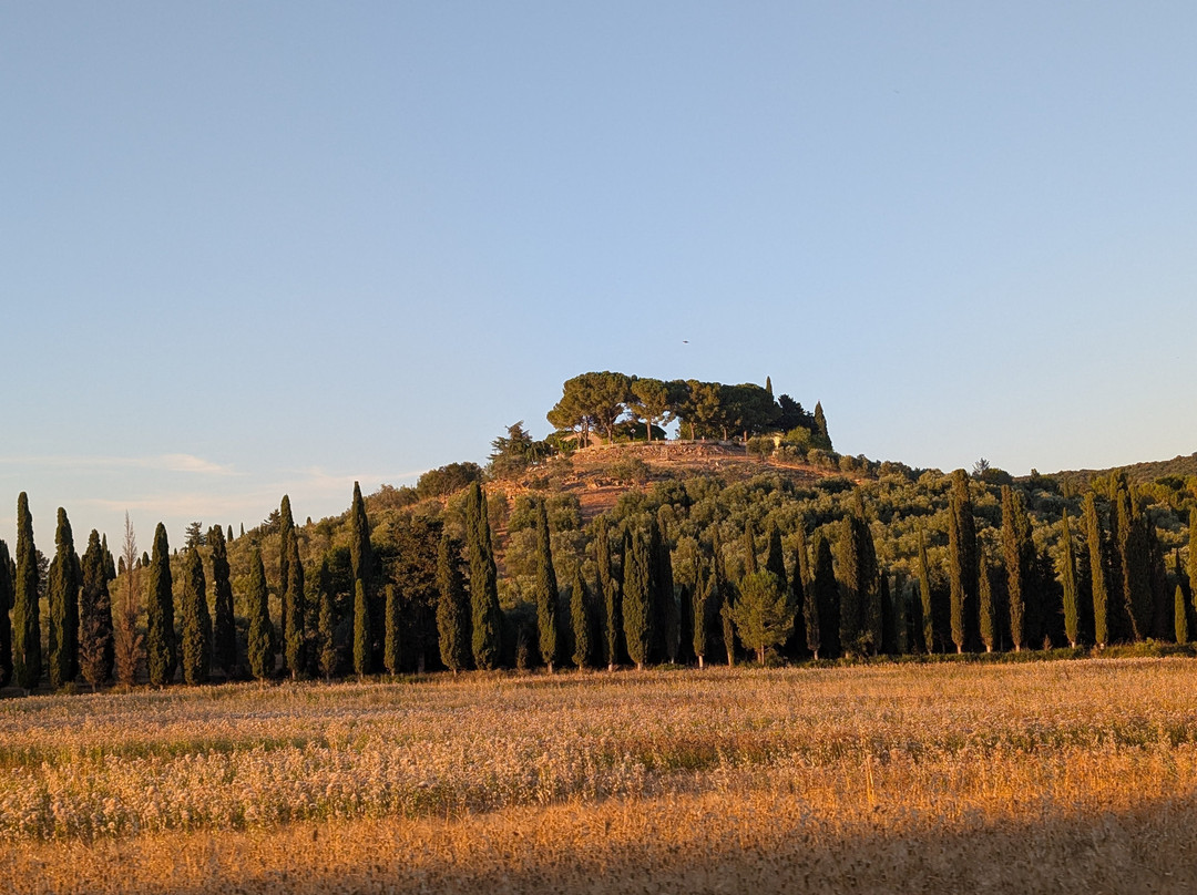 Morisfarms-Cura Nuova必去景点