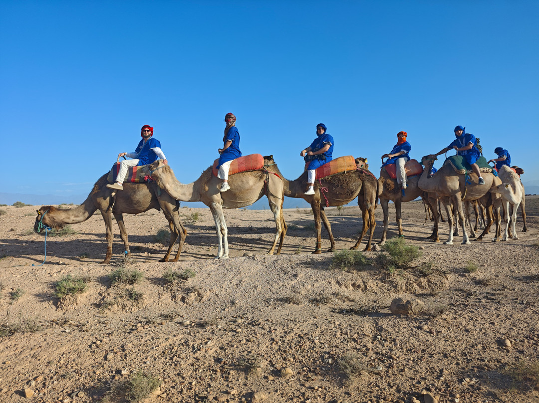 QBTour-马德里必去景点