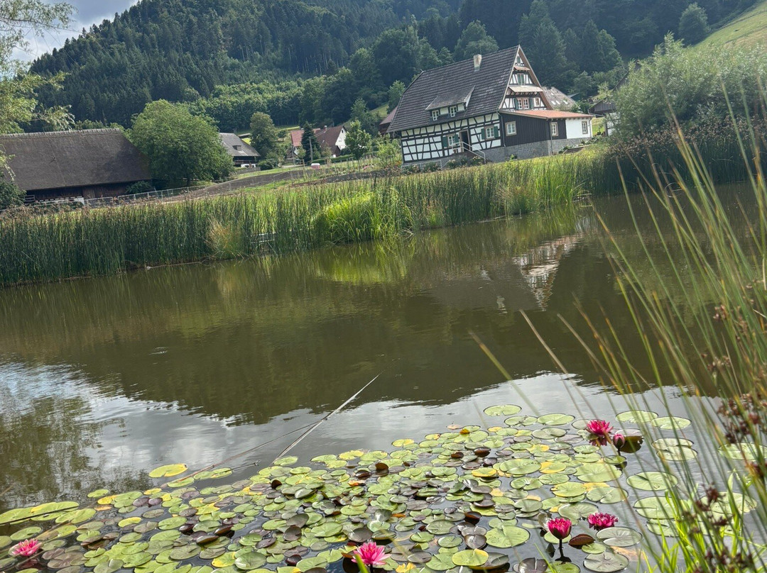 Schwarzwälder Freilichtmuseum Vogtsbauernhof-Gutach im Schwarzwald必去景点