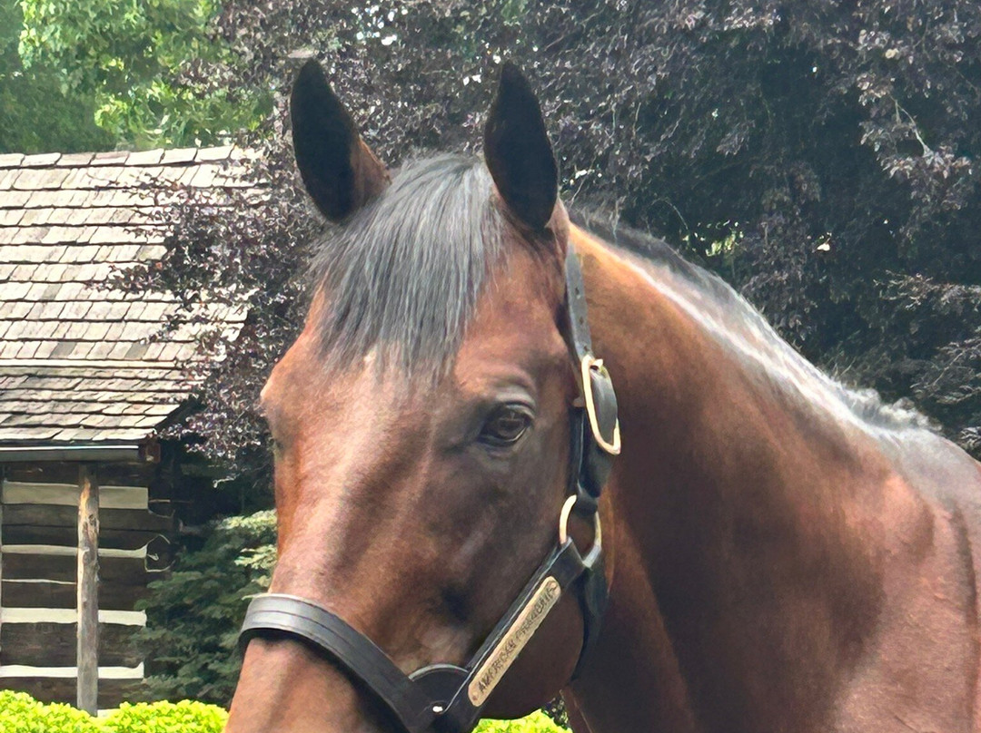 Coolmore America - Ashford Stud-Versailles必去景点