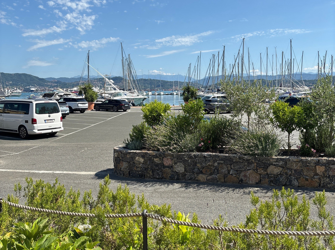 Octopus Bistrot Del Mare