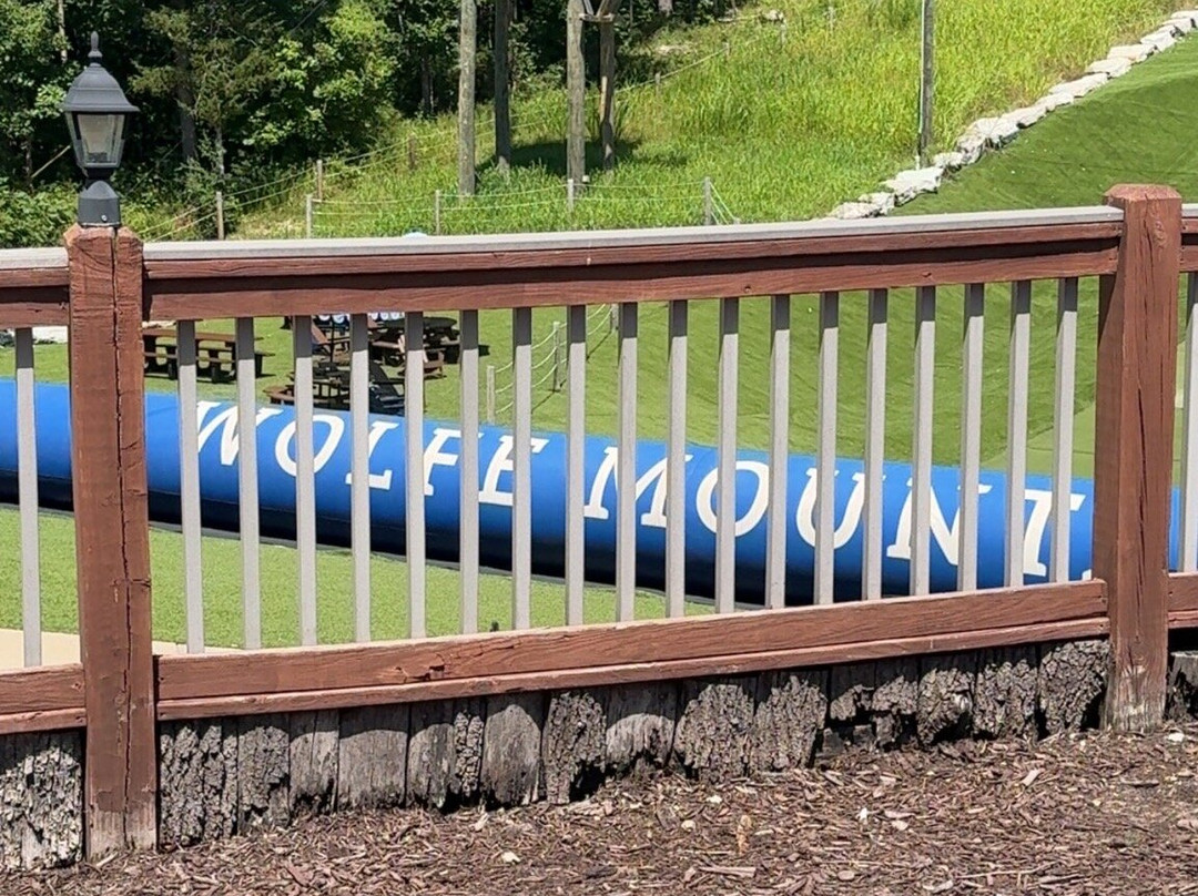 Branson Zipline at Wolfe Mountain-Walnut Shade必去景点