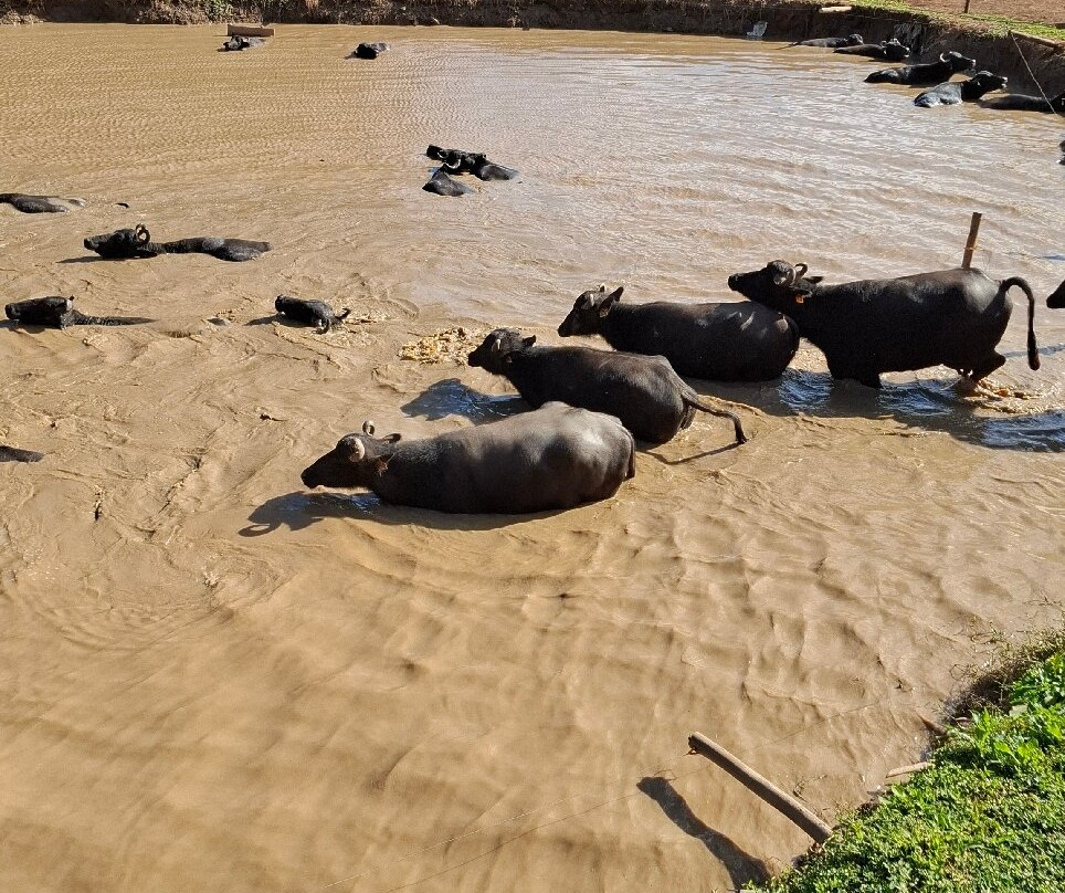 Perola da Serra-Itanhandu必去景点