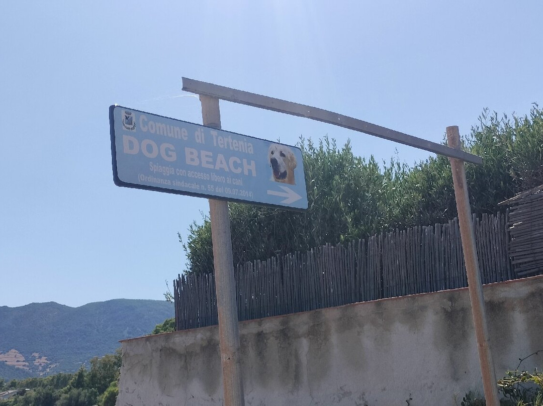 Spiaggia di Foxi Murdegu-Marina di Tertenia必去景点