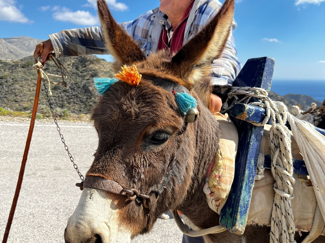 Art and Walk Karpathos-Karpathos Town (Pigadia)必去景点