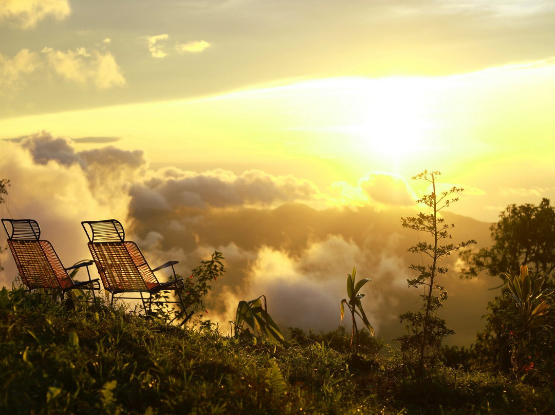 Minca Sintropia - Sustainable Lodge & Organic Coffee Finca