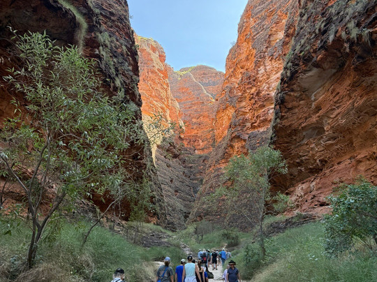 Kingfisher Tours-库努纳拉必去景点