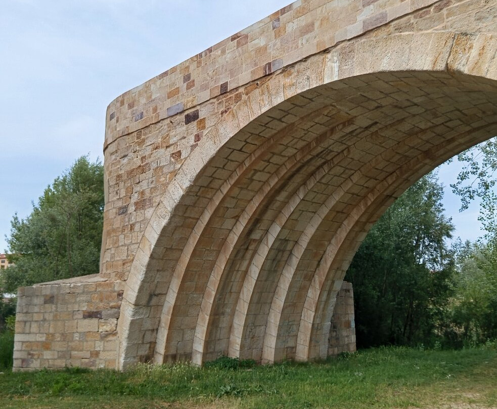 Puente de Piedra-萨莫拉必去景点