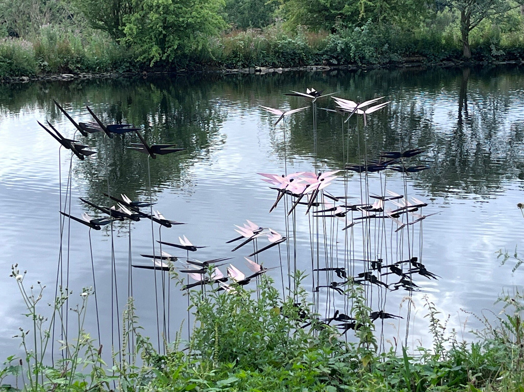 WWT Washington Wetland Centre-Washington必去景点