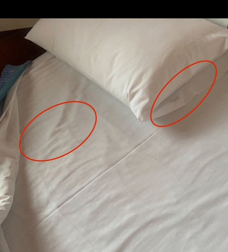 The Waterfront Motel主图