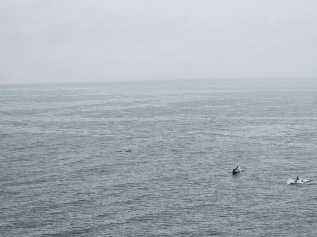 Calmac Ferries-奥本必去景点