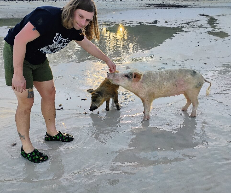 Pig Beach-大埃克苏马必去景点