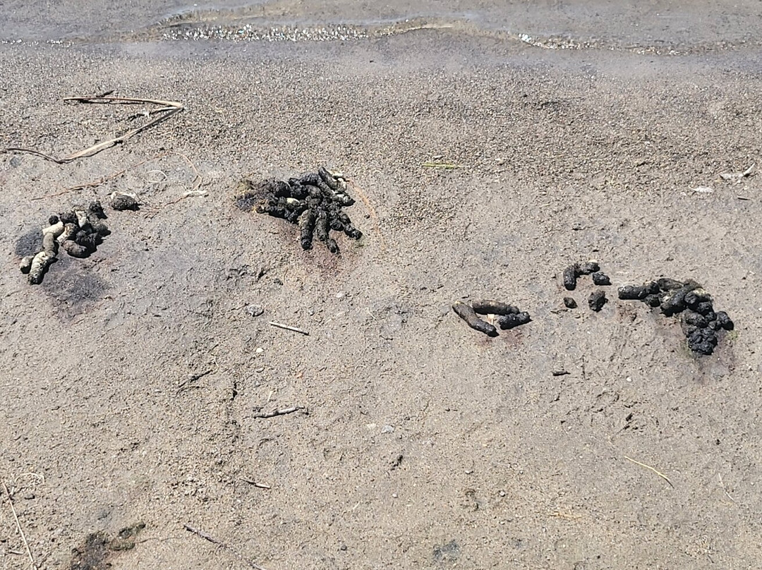 Professor's Lake Recreation Centre-布兰普敦必去景点