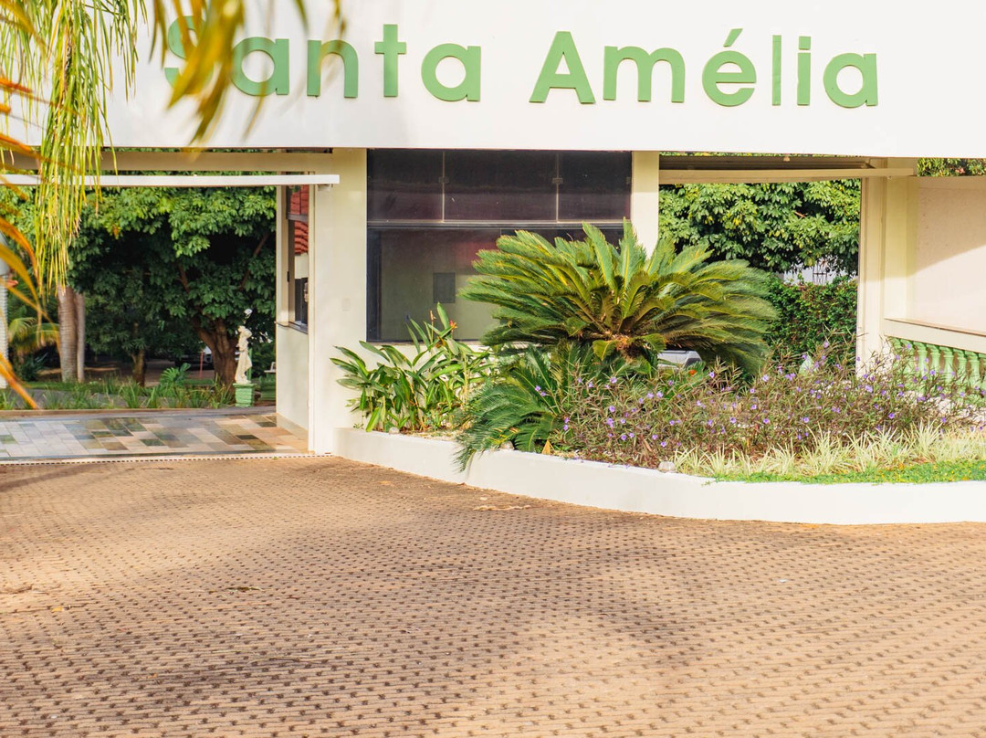 圣阿米莉亚庄园主图