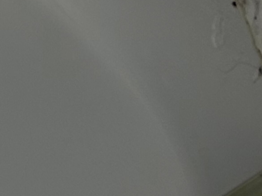 The South Beach Hotel主图