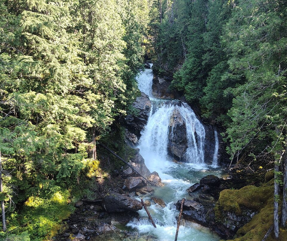 Crazy Creek Suspension Bridge-Malakwa必去景点