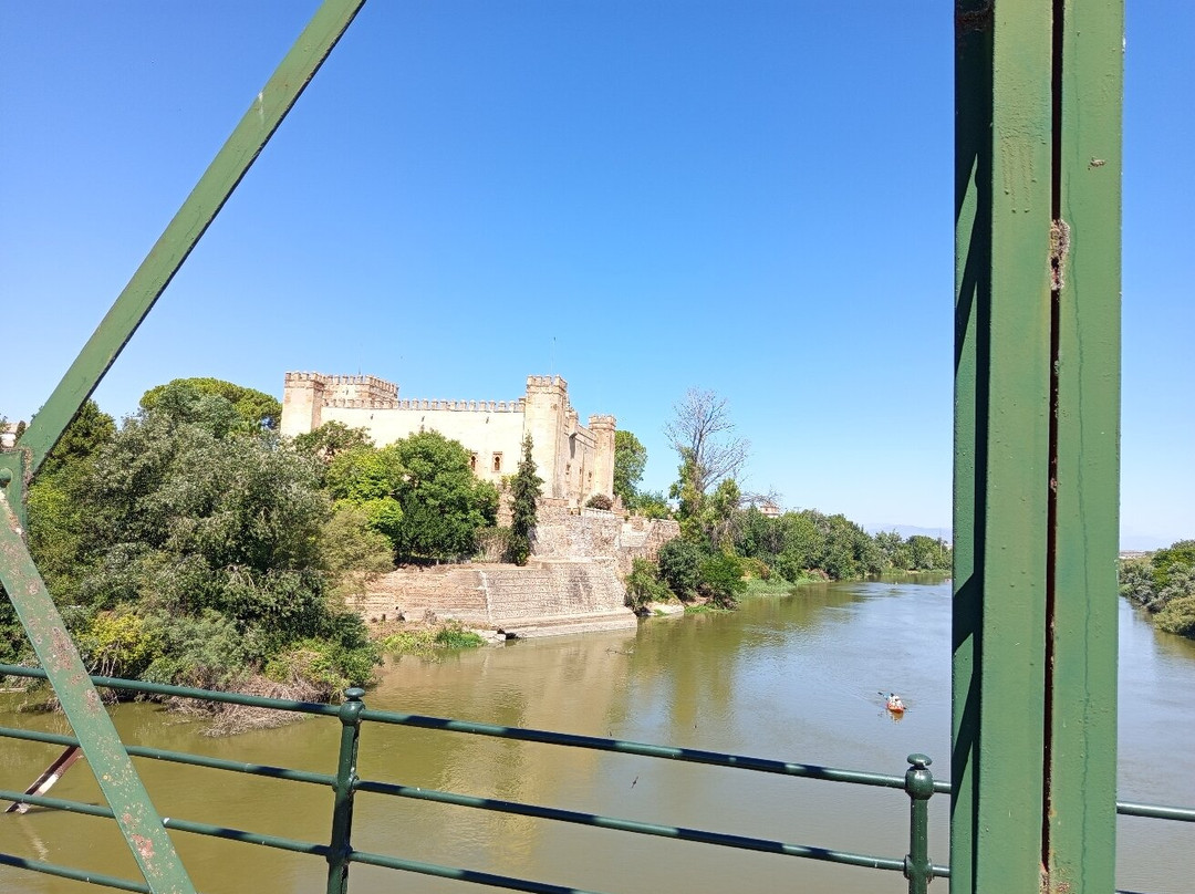 Castillo de Malpica-Malpica de Tajo必去景点