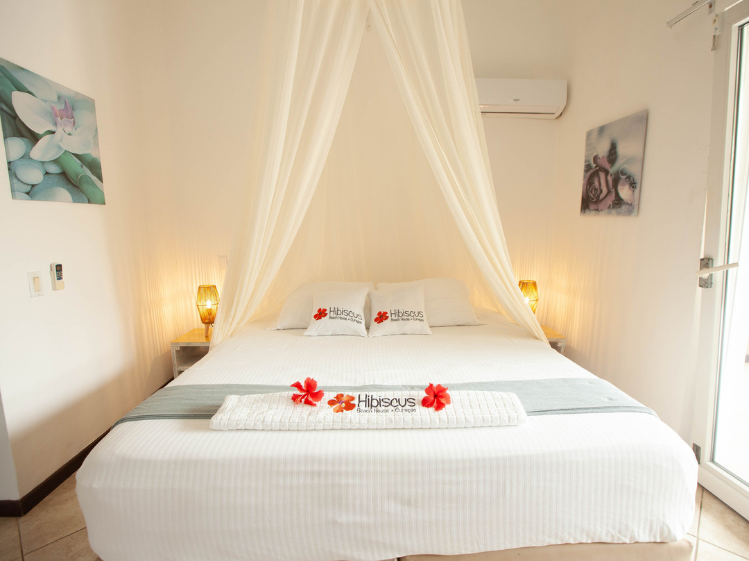 Hibiscus Beach House bed & breakfast主图