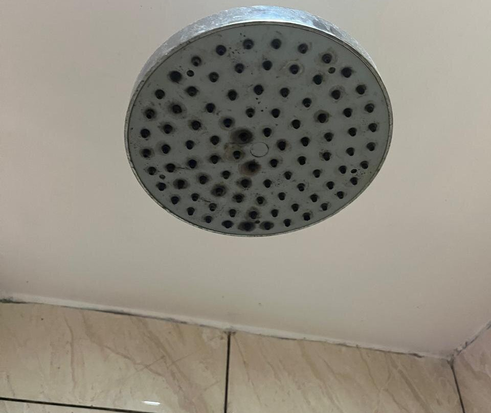 Mayflower Hotel主图