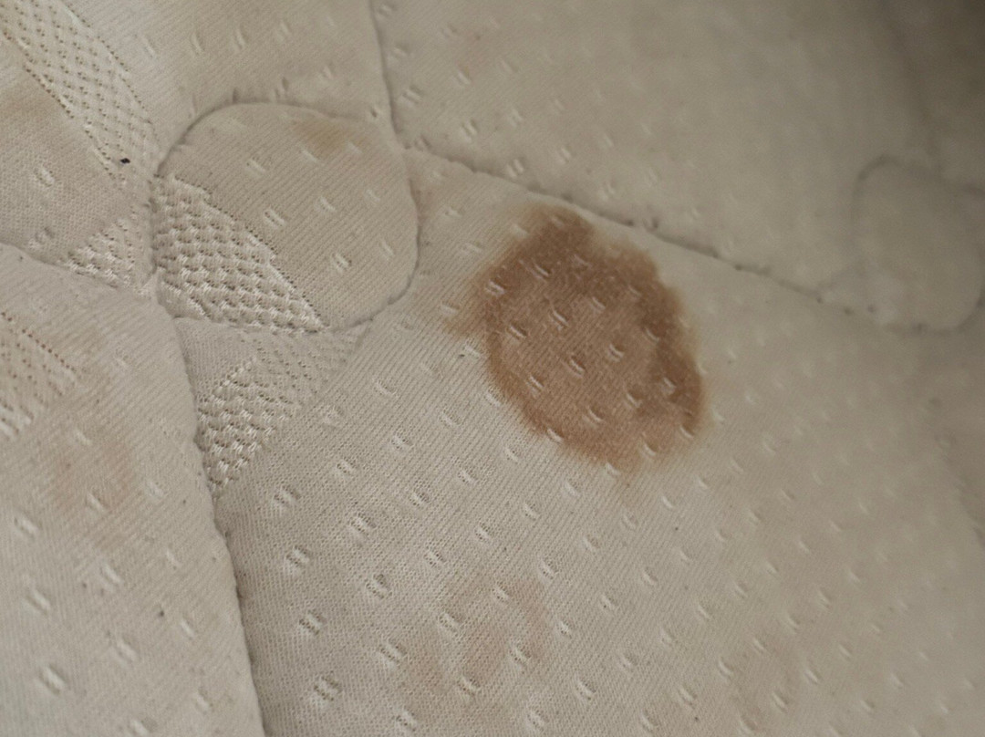 Hôtel la Vraine主图