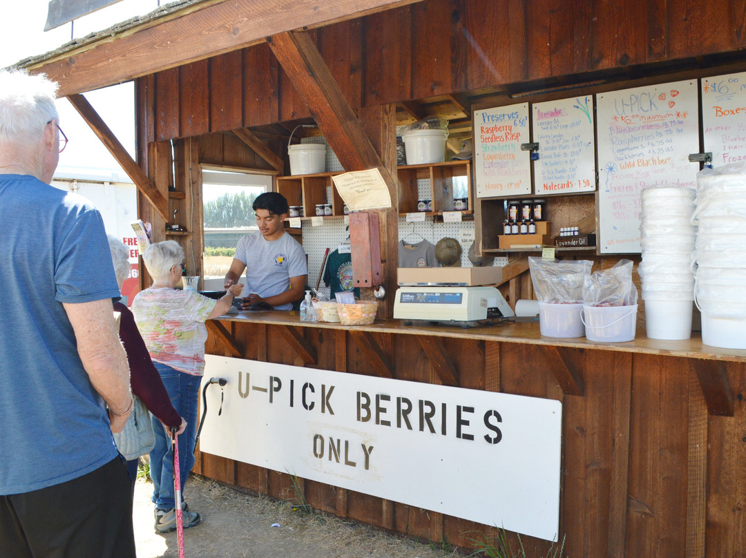 Graysmarsh Berry Farm-塞奎姆必去景点