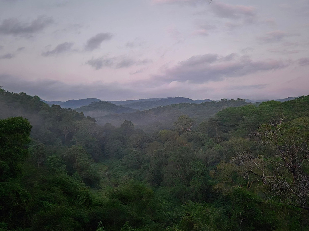 Tent With a View Safaris-Dar es Salaam必去景点