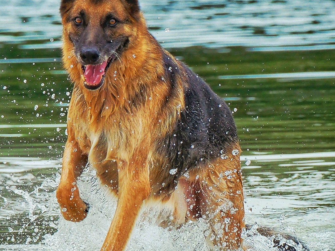 Zilvermeer-Mol必去景点