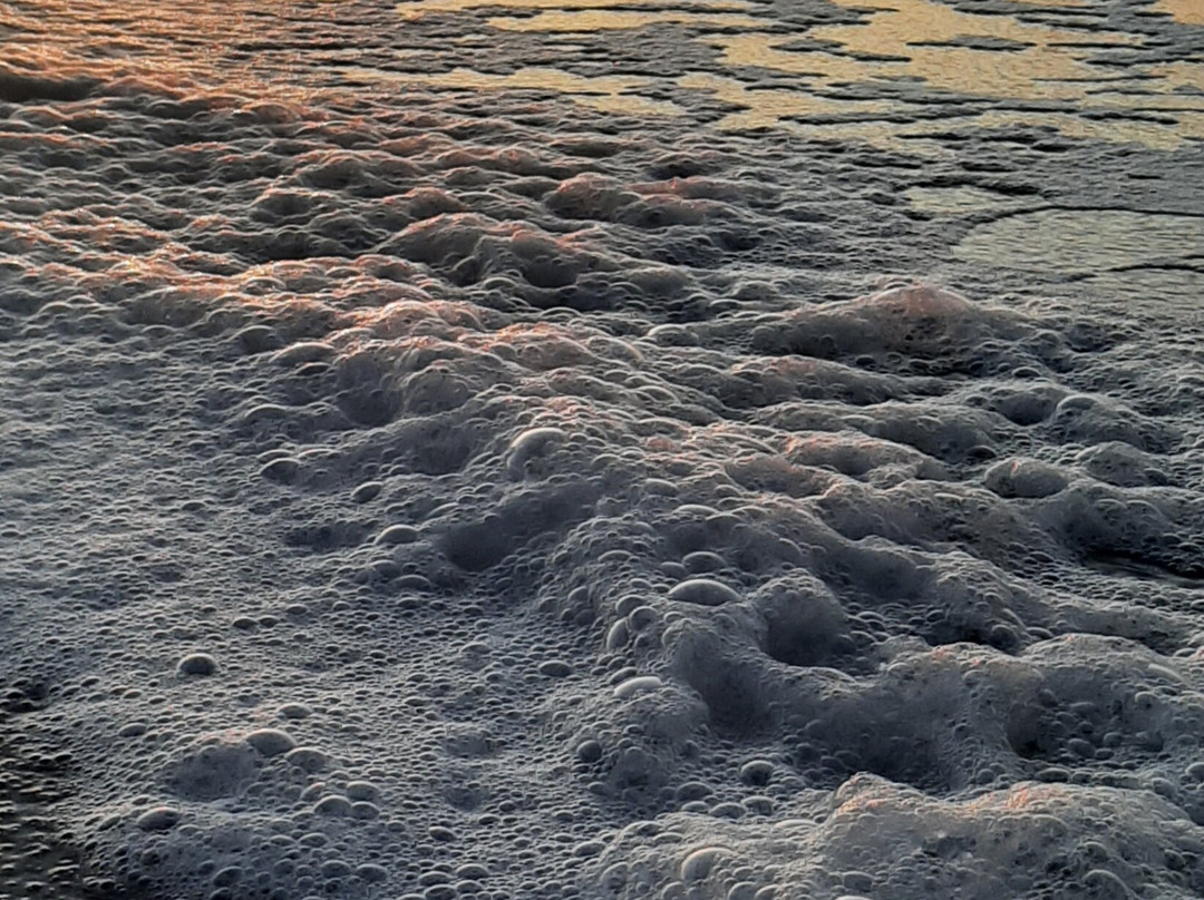 Playa De Pinamar-毕拿玛市必去景点