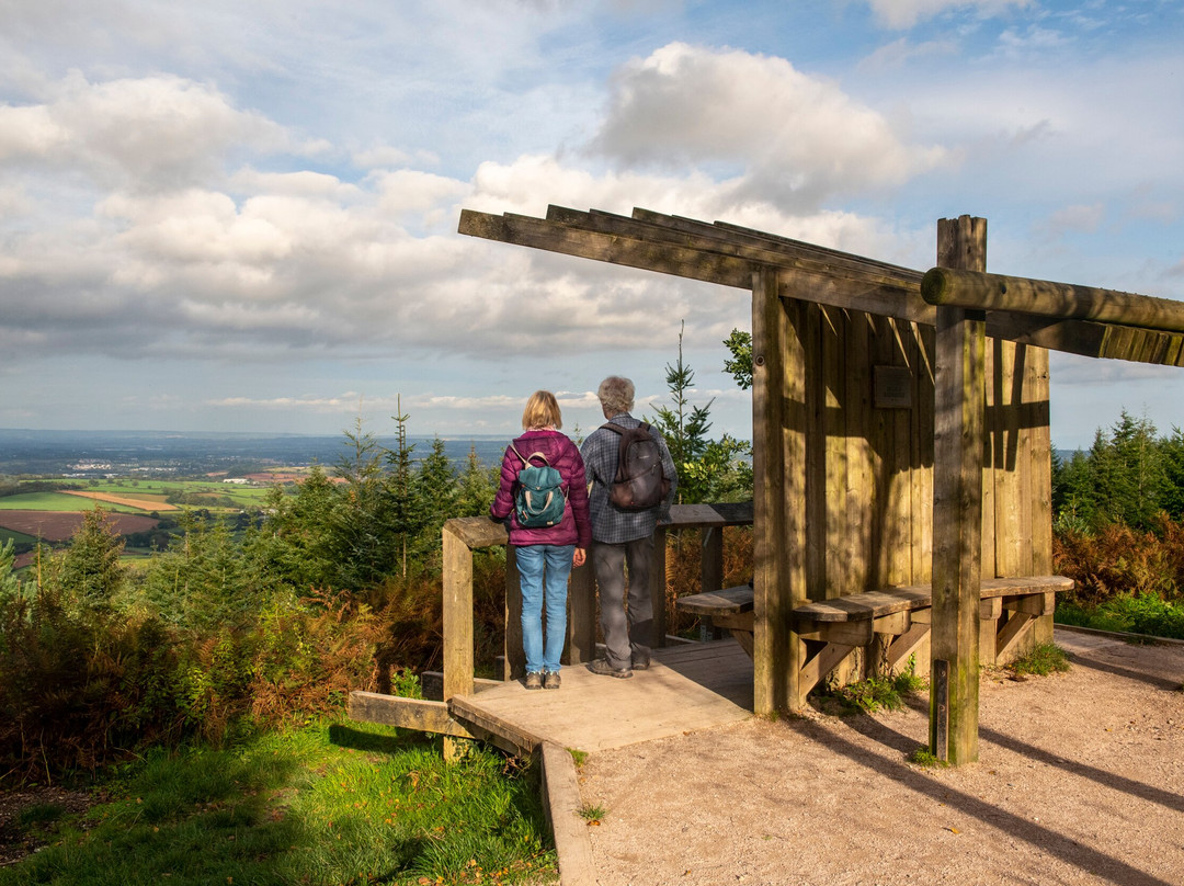 Haldon Forest Park - Forestry England-得文郡必去景点