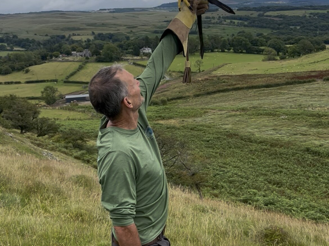 Wings Of Wales-布雷肯比肯斯国家公园必去景点