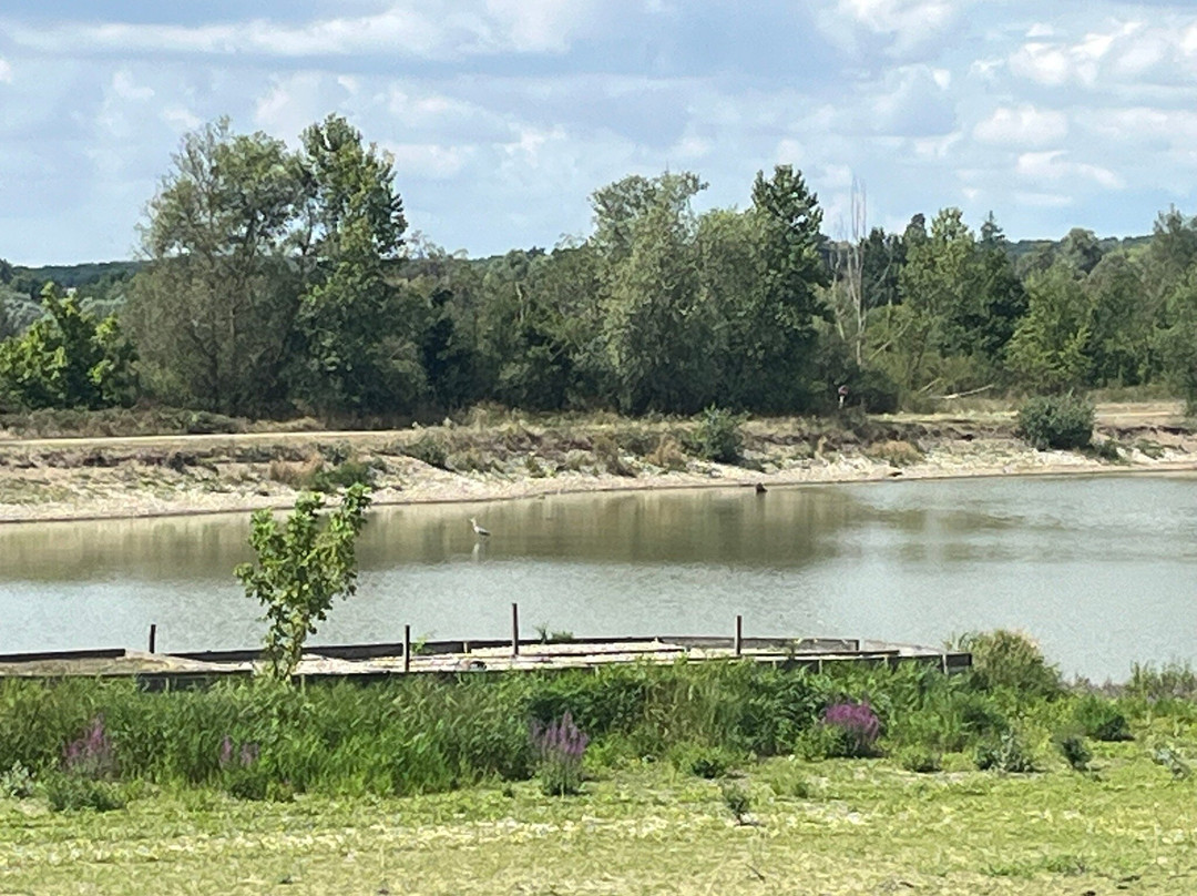 La Boire des Carrés-Saint-Remy-en-Rollat必去景点
