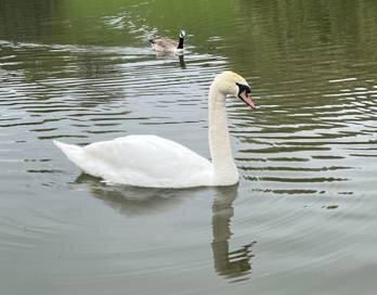 Warminster Lake Pleasure Grounds-沃敏斯特必去景点
