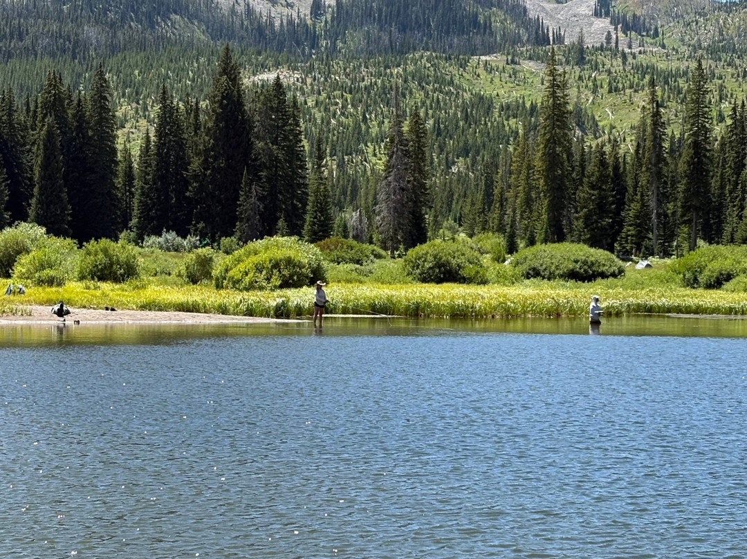 Yellowstone Horse And Mule-雷德洛治必去景点