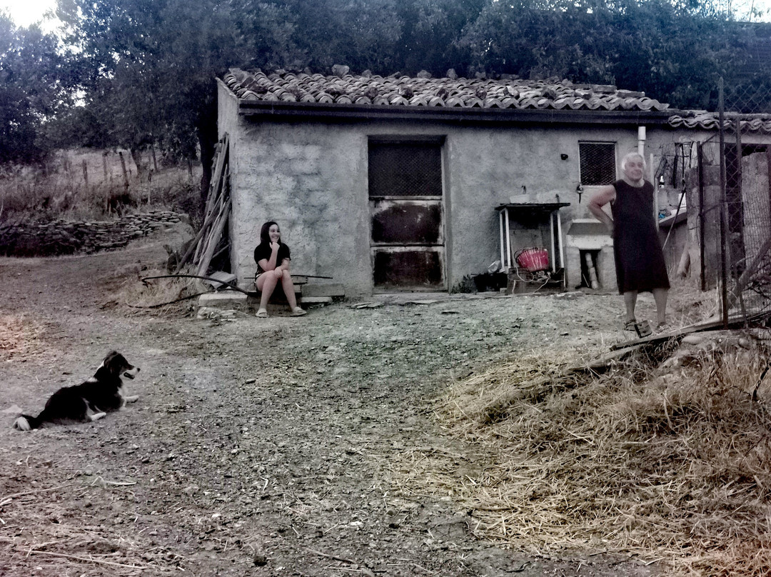 Agriturismo Acampora