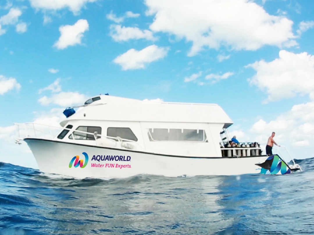 Mexico Travel Solutions-坎昆必去景点