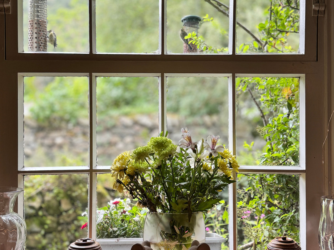 Knotts View Guest House主图