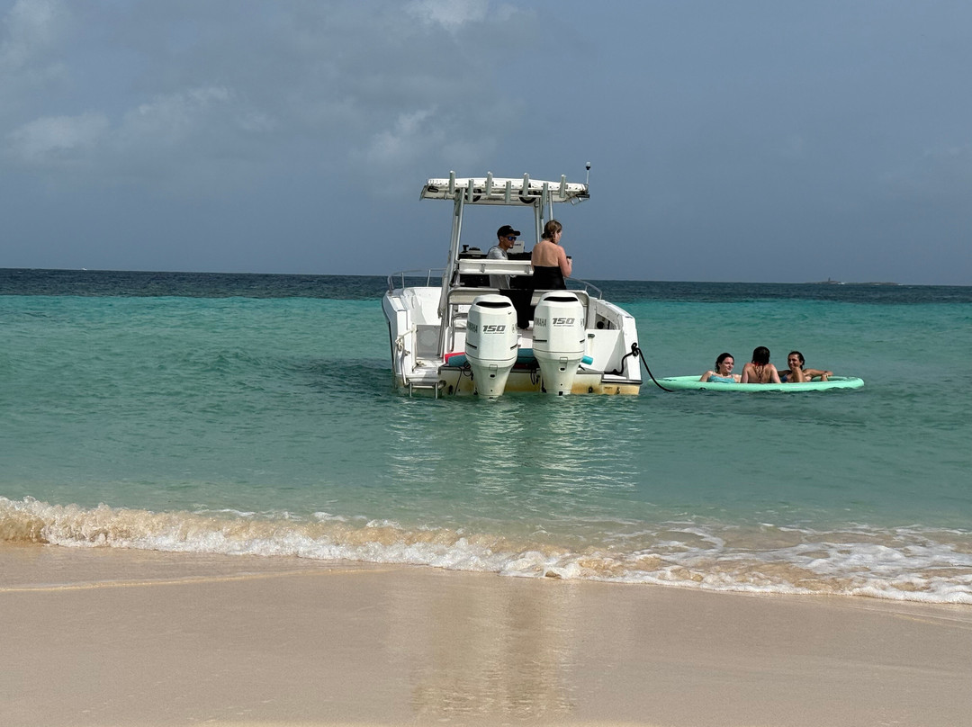 Tripping to Paradise