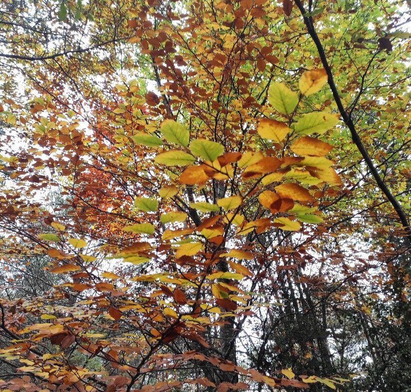 Mirador Eriste-Eriste必去景点