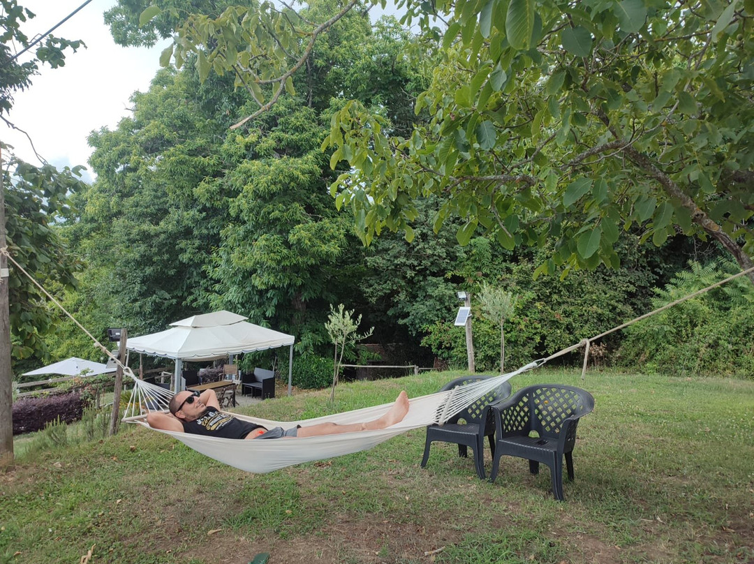 Agriturismo Il Tiglio主图