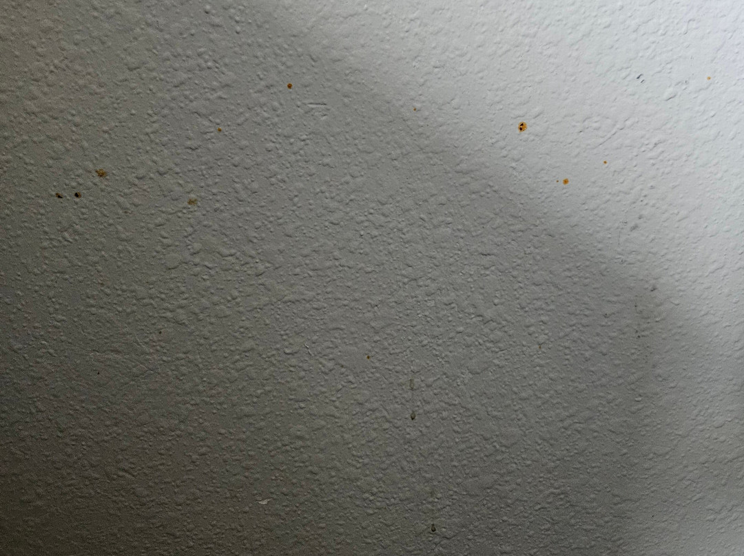 Best Western Plus Hudson I-94主图