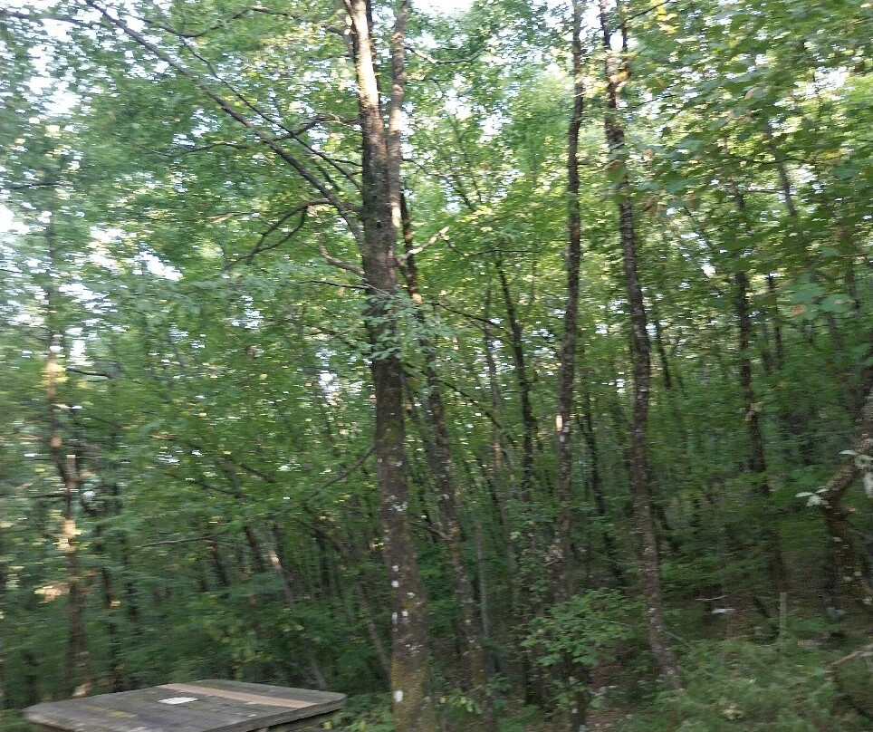 Parco Naturale la Sponga-Canistro必去景点