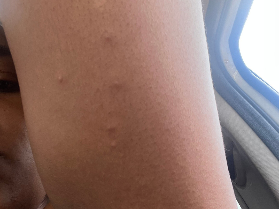 Holiday Inn & Suites St. Paul NE - Lake Elmo by IHG主图