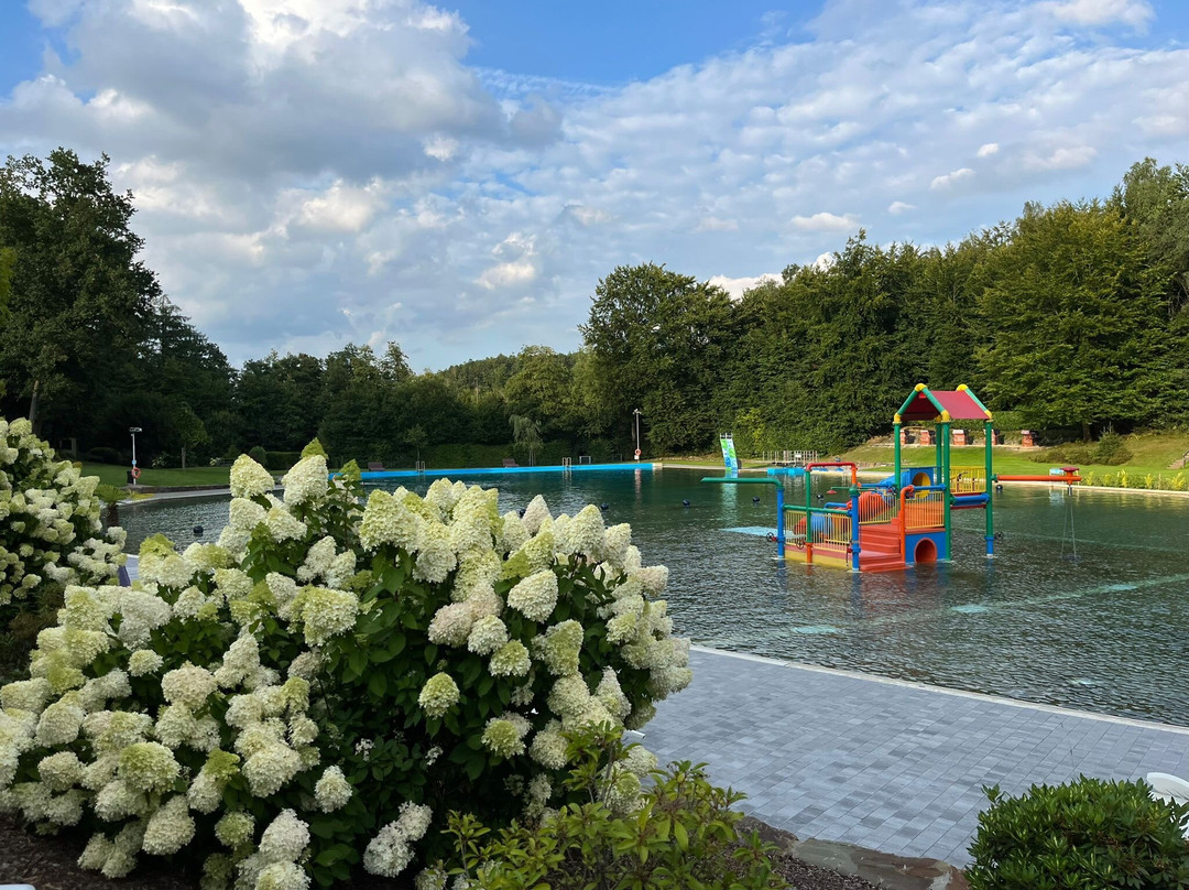 Waldfreibad Herpine-Halver必去景点