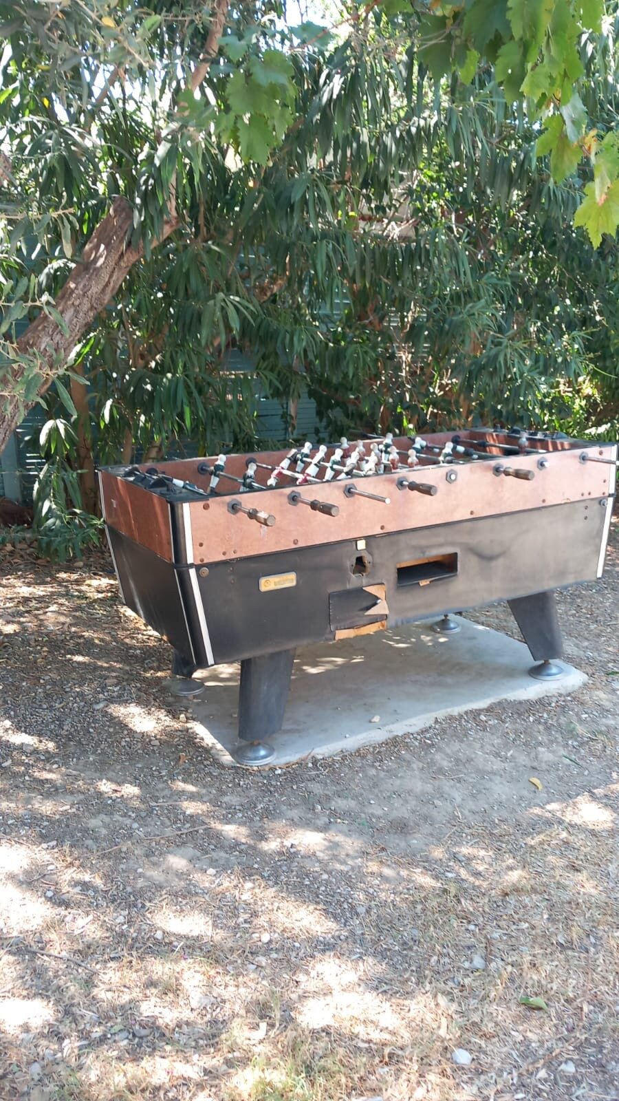 Florida Blue Bay-官方